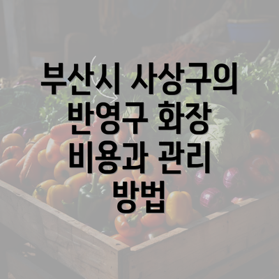 부산시 사상구의 반영구 화장 비용과 관리 방법