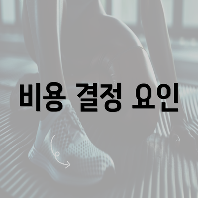 비용 결정 요인