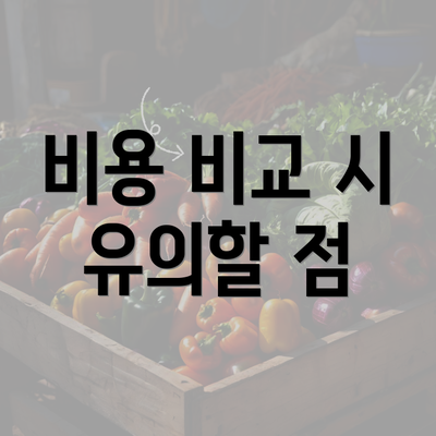 비용 비교 시 유의할 점