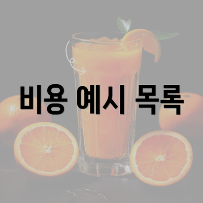 비용 예시 목록