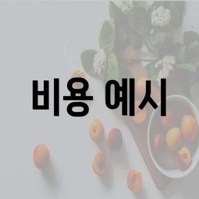 비용 예시