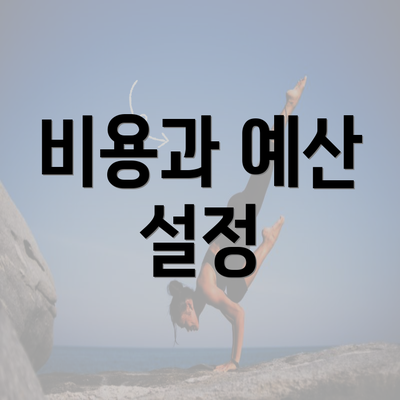 비용과 예산 설정