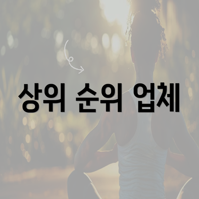 상위 순위 업체