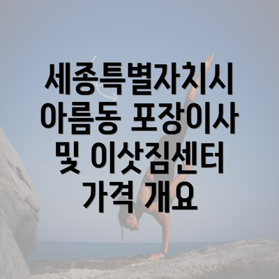 세종특별자치시 아름동 포장이사 및 이삿짐센터 가격 개요