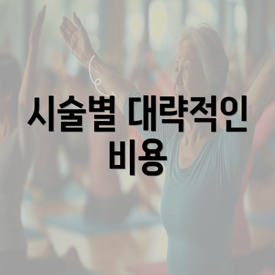 시술별 대략적인 비용