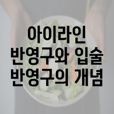 아이라인 반영구와 입술 반영구의 개념