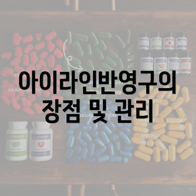 아이라인반영구의 장점 및 관리