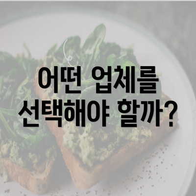 어떤 업체를 선택해야 할까?