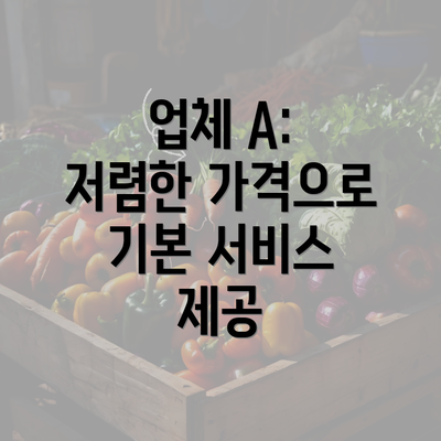 업체 A: 저렴한 가격으로 기본 서비스 제공