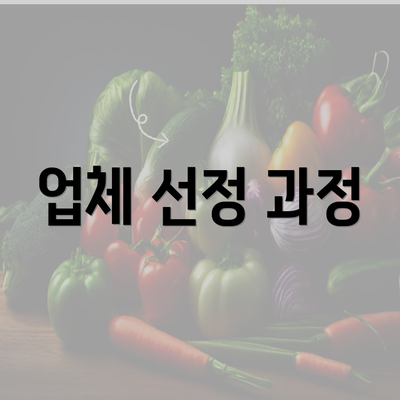 업체 선정 과정