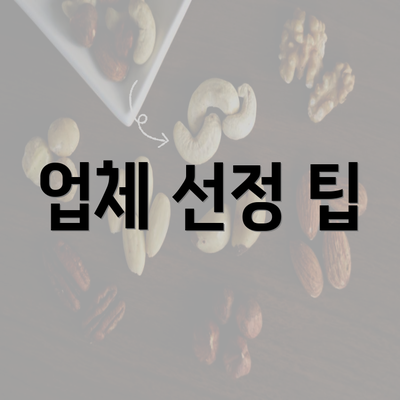 업체 선정 팁