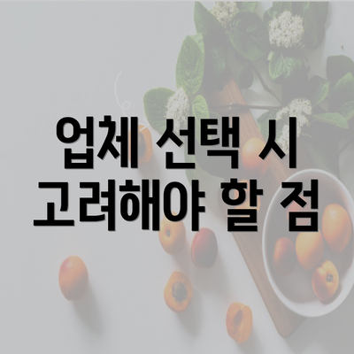 업체 선택 시 고려해야 할 점