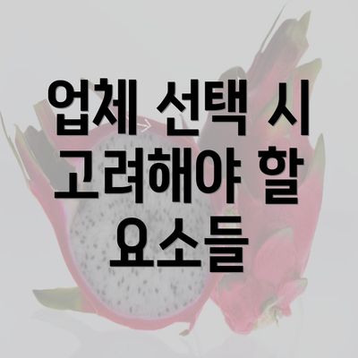 업체 선택 시 고려해야 할 요소들