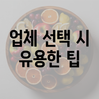 업체 선택 시 유용한 팁