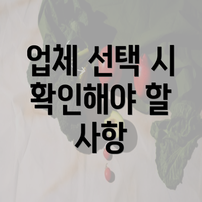 업체 선택 시 확인해야 할 사항