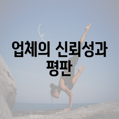 업체의 신뢰성과 평판