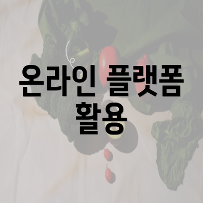 온라인 플랫폼 활용