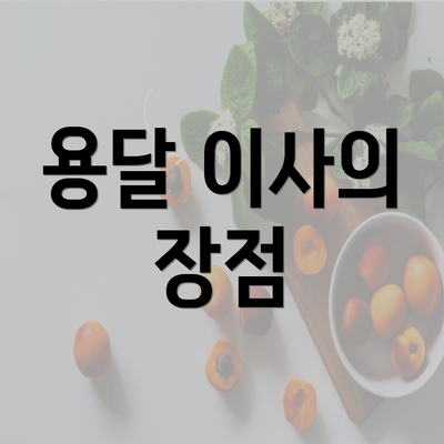 용달 이사의 장점