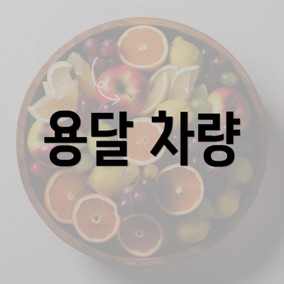 용달 차량