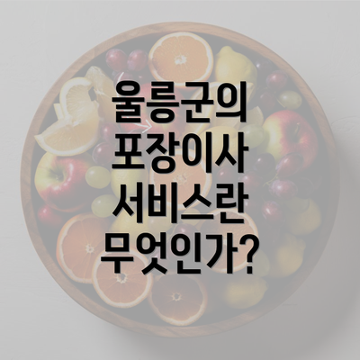 울릉군의 포장이사 서비스란 무엇인가?