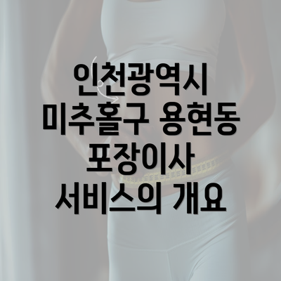 인천광역시 미추홀구 용현동 포장이사 서비스의 개요