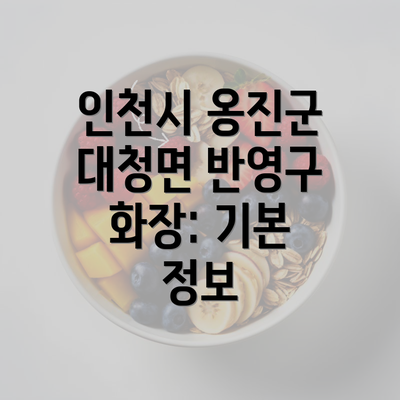 인천시 옹진군 대청면 반영구 화장: 기본 정보