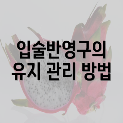 입술반영구의 유지 관리 방법