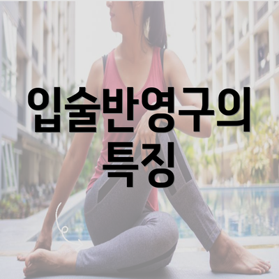 입술반영구의 특징