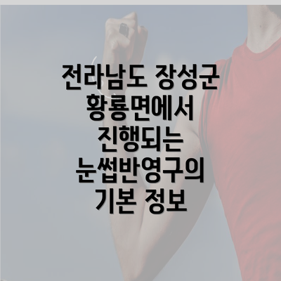 전라남도 장성군 황룡면에서 진행되는 눈썹반영구의 기본 정보