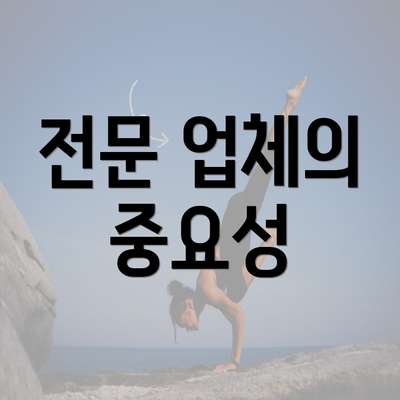 전문 업체의 중요성