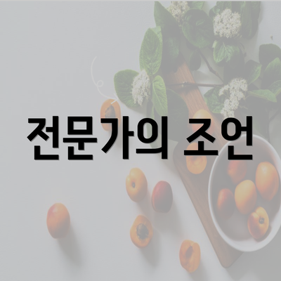 전문가의 조언