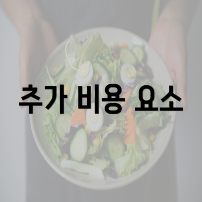 추가 비용 요소