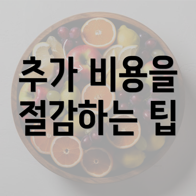 추가 비용을 절감하는 팁