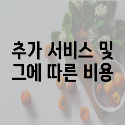 추가 서비스 및 그에 따른 비용