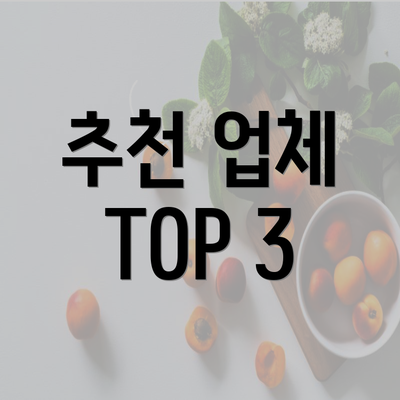 추천 업체 TOP 3