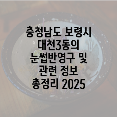 충청남도 보령시 대천3동의 눈썹반영구 및 관련 정보 총정리 2025