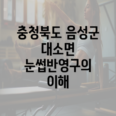 충청북도 음성군 대소면 눈썹반영구의 이해