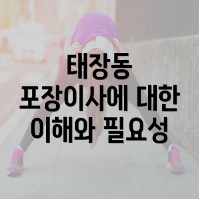 태장동 포장이사에 대한 이해와 필요성