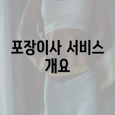 포장이사 서비스 개요