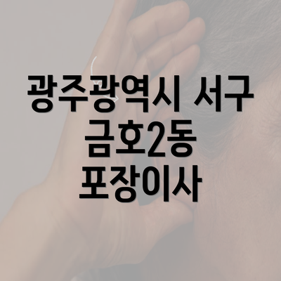 광주광역시 서구 금호2동 포장이사