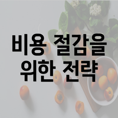 비용 절감을 위한 전략