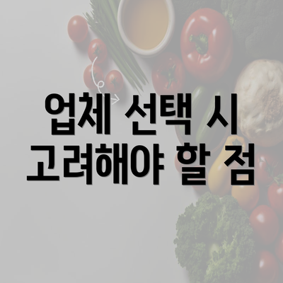 업체 선택 시 고려해야 할 점