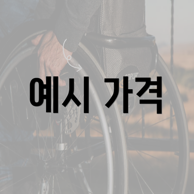 예시 가격