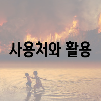 사용처와 활용