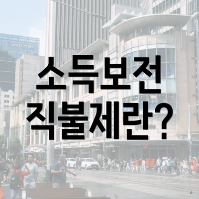 소득보전 직불제란?