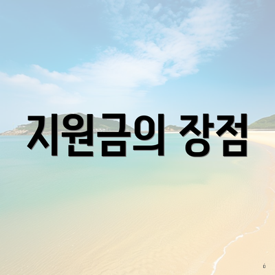 지원금의 장점