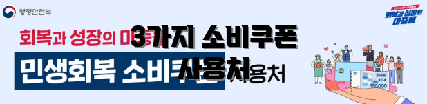 3가지 소비쿠폰 사용처