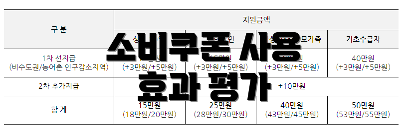 소비쿠폰 사용 효과 평가