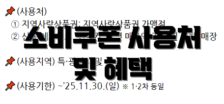 소비쿠폰 사용처 및 혜택