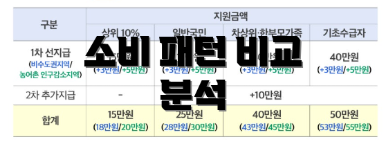 소비 패턴 비교 분석